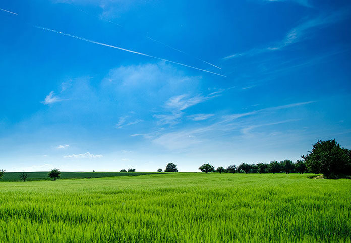 Agroturystyka – pomysł na biznes na wsi