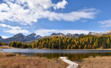 Ile jest płacone za staż?